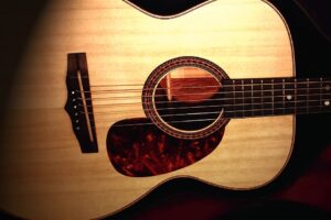 Folk/Bluegrass Flatpicking Guitar - Autumn Term 2022