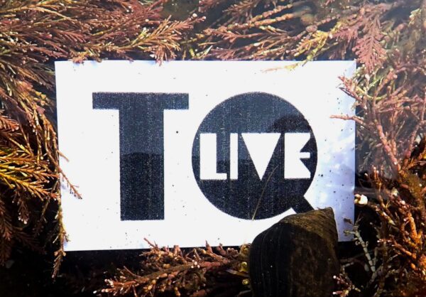 TQ Live logo