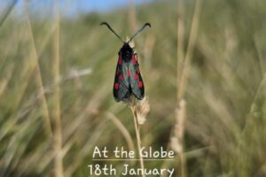 Jan 18 - Herdman/Strong Quartet