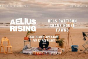 Feb 13 - Aelius Rising: Hels Pattison + Crane House + Fawns